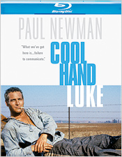 Cool Hand Luke (Blu-ray Disc)
